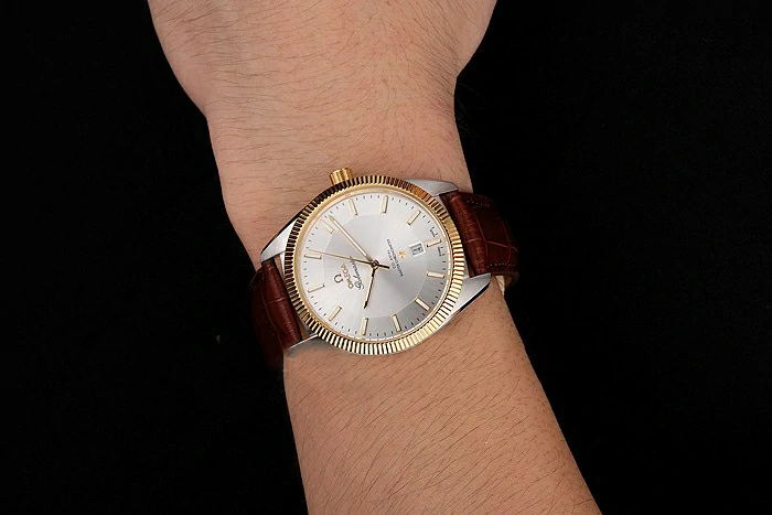Omega Globemaster Silver Dial Gold Bezel Stainless Steel Case Brown Leather Strap new122239