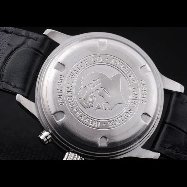 Iwc Schaffhausen new57561