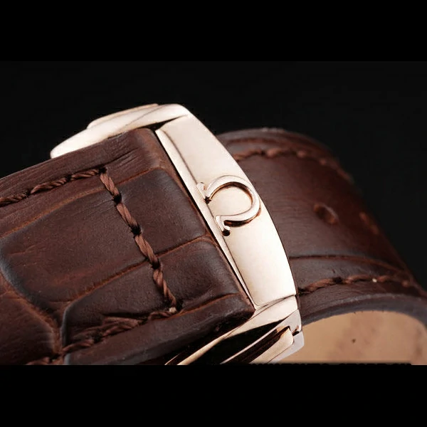 Omega Seamaster Railmaster Brown Strap Brown Striped Dial new58120