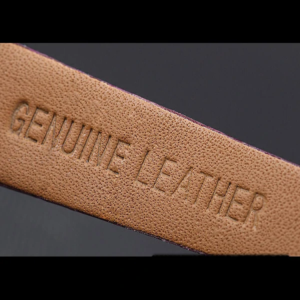 Cartier Santos 100 Diamond Silver Bezel new59826