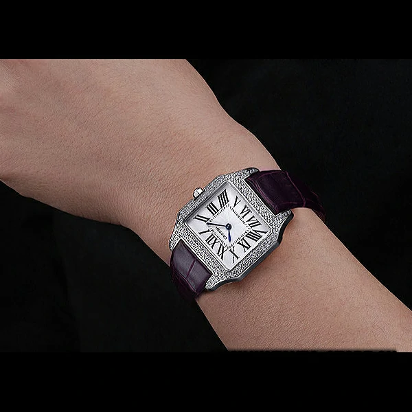 Cartier Santos 100 Diamond Silver Bezel new59826
