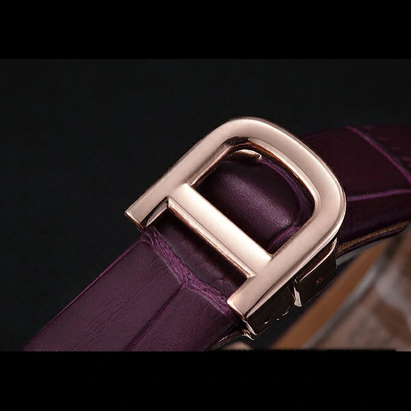 Cartier Santos 100 Diamond Rose Gold Bezel new59828