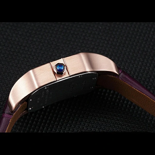 Cartier Santos 100 Polished Rose Gold Bezel new59836
