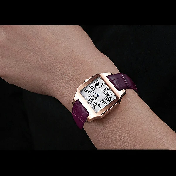 Cartier Santos 100 Polished Rose Gold Bezel new59836