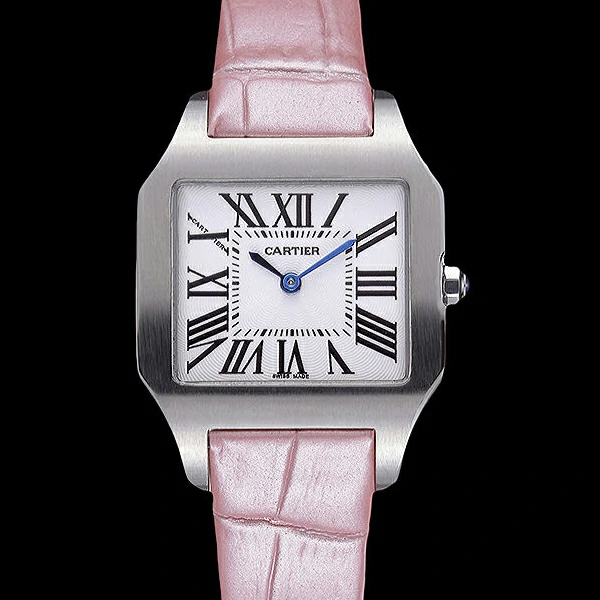 Cartier Santos 100 Polished Stainless Steel Bezel new59837