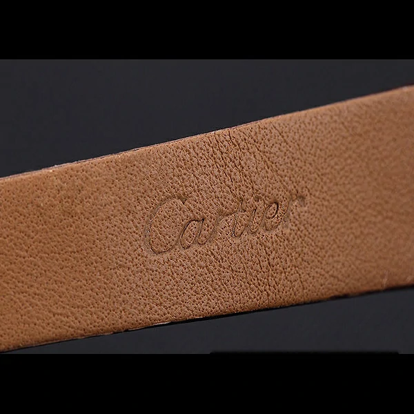 Cartier Santos 100 Polished Stainless Steel Bezel new59838