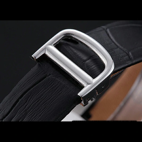 Cartier Santos 100 Diamond Silver Bezel new59839