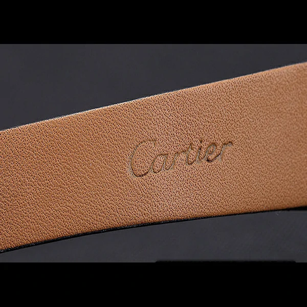 Cartier Santos 100 Diamond Silver Bezel new59839