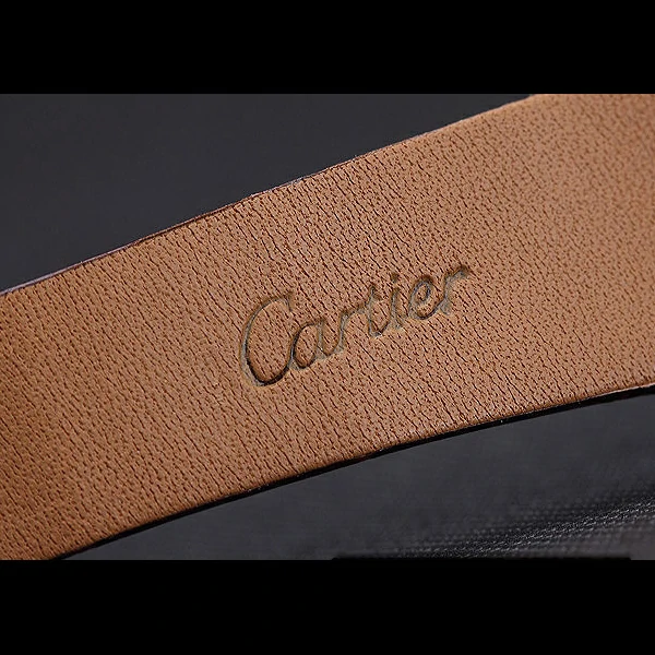 Cartier Santos 100 Diamond Silver Bezel new59841
