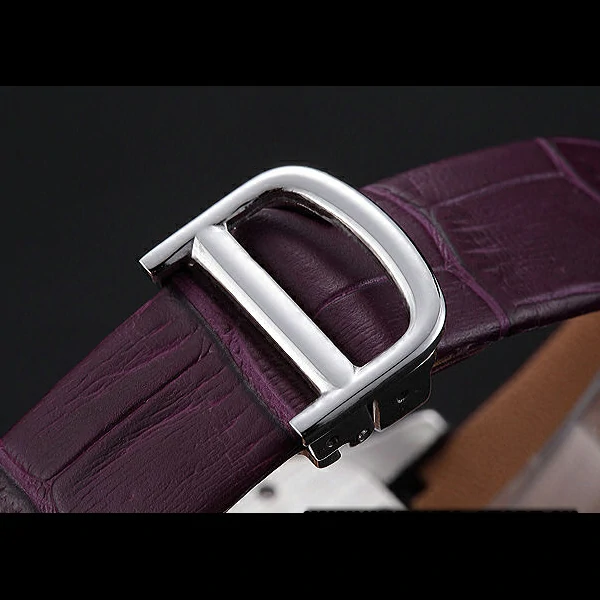 Cartier Santos 100 Diamond Silver Bezel new59842