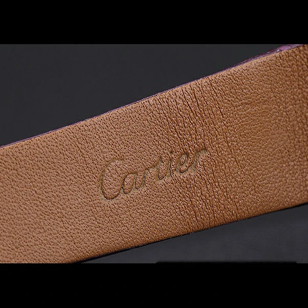 Cartier Santos 100 Diamond Silver Bezel new59842
