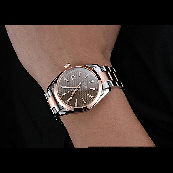 Omega Seamaster Brown Dial Two Tone new60066