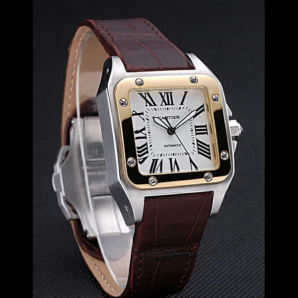 Cartier Santos Automatic Stainless Steel & Gold Case Brown Leather Strap new60141