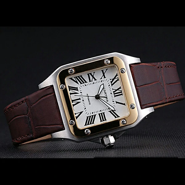 Cartier Santos Automatic Stainless Steel & Gold Case Brown Leather Strap new60141